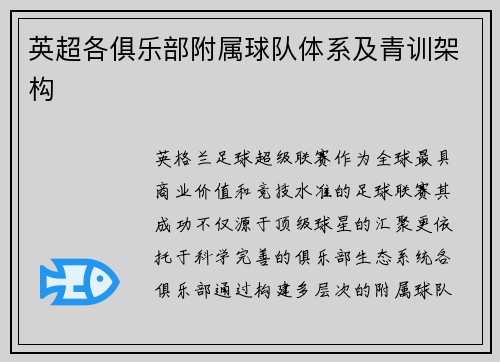 英超各俱乐部附属球队体系及青训架构